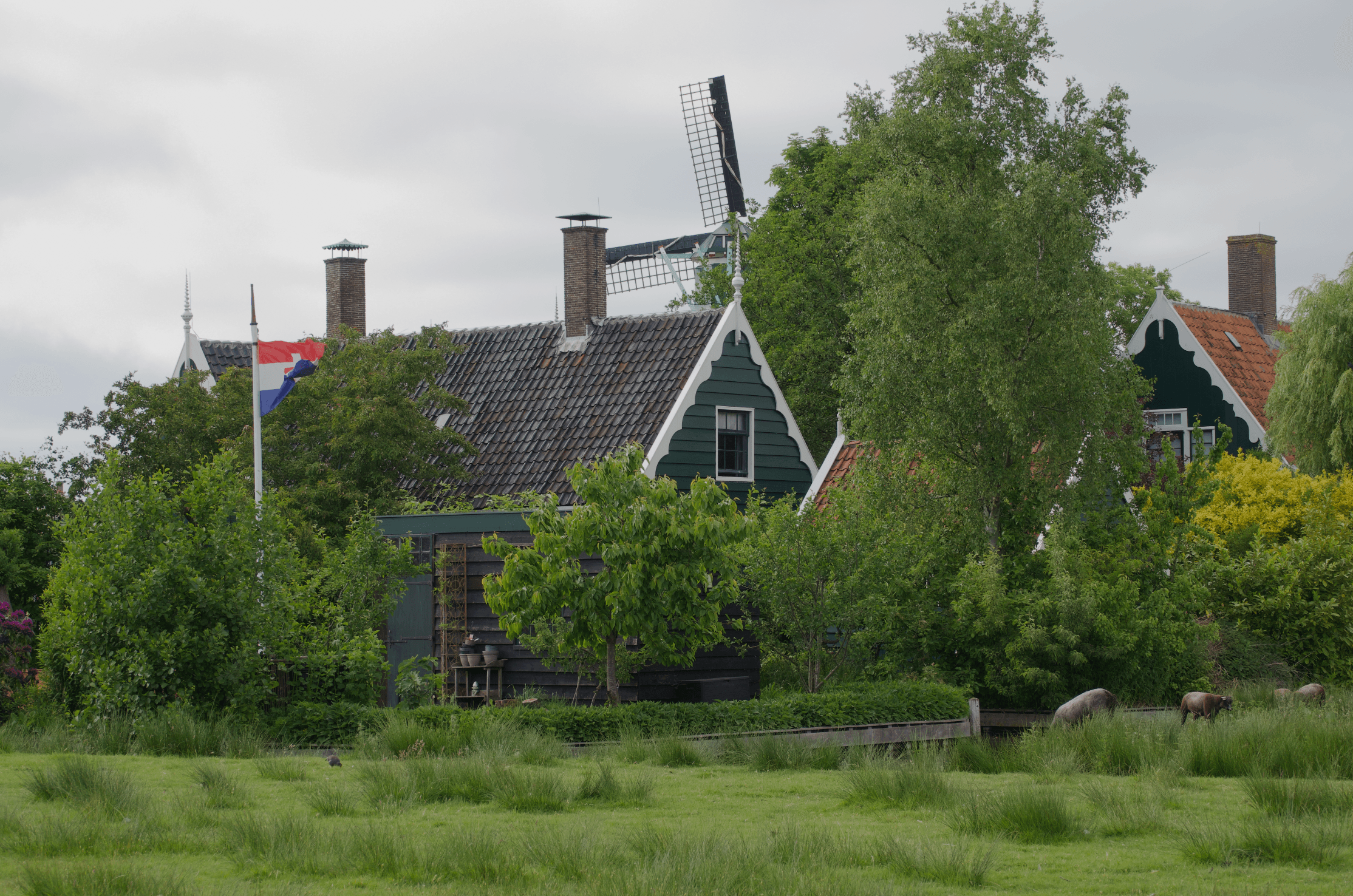 Amsterdam